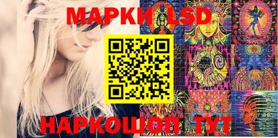шишки Будённовск