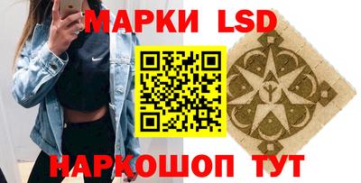 шишки Будённовск