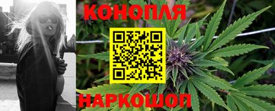 шишки Будённовск