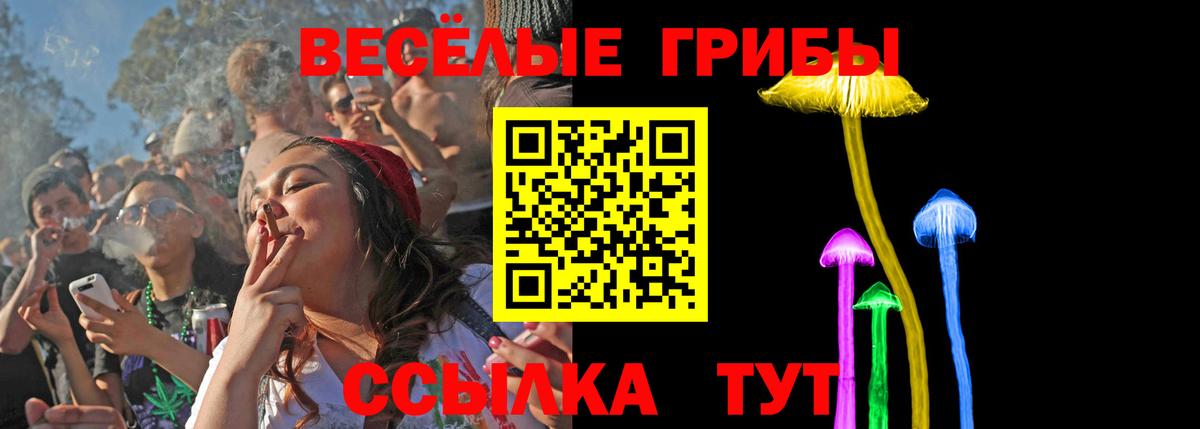 Галлюциногенные грибы Magic Shrooms Курганинск