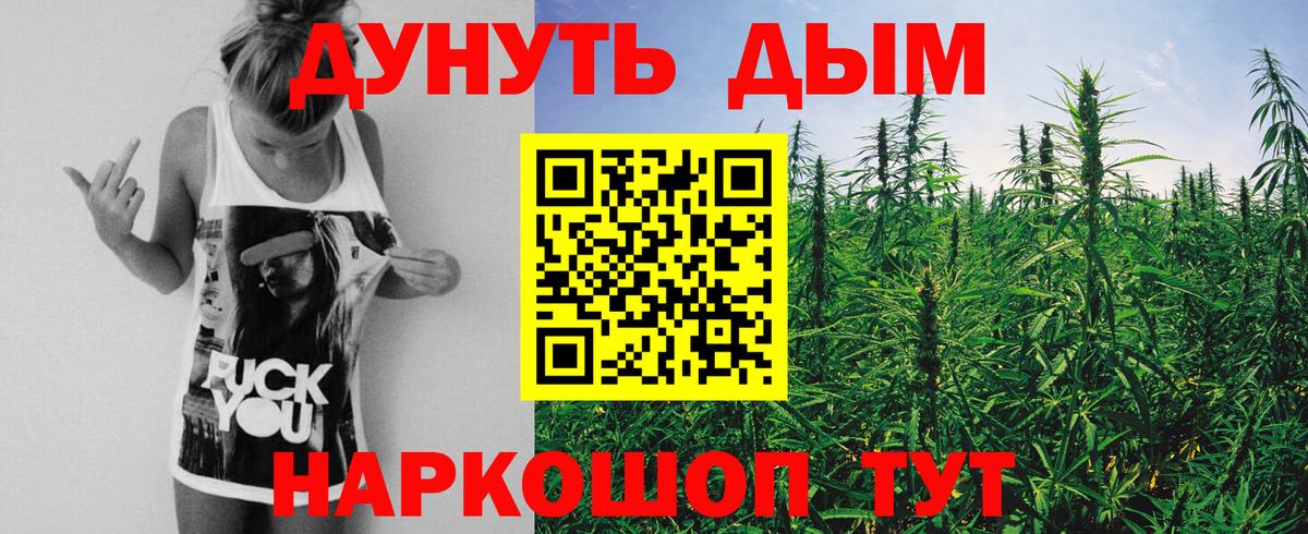 Каннабис семена Курганинск